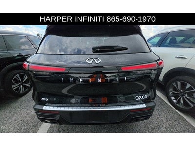 2023 INFINITI QX60 LUXE