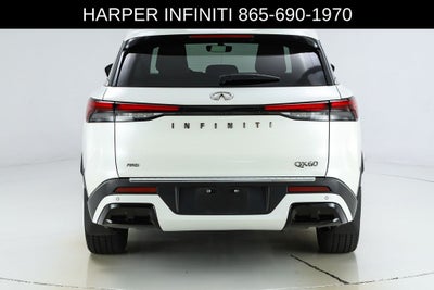 2023 INFINITI QX60 LUXE