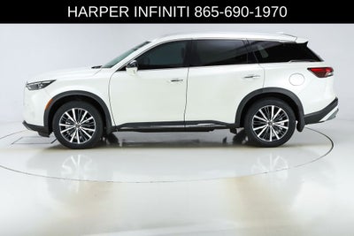 2023 INFINITI QX60 Sensory
