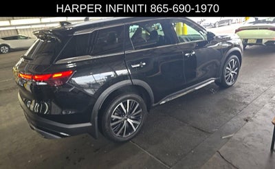 2024 INFINITI QX60 Sensory