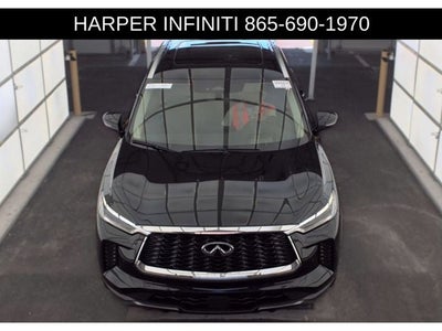 2024 INFINITI QX60 Sensory