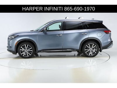 2024 INFINITI QX60 Sensory