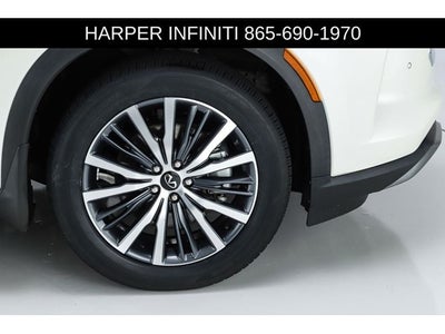 2023 INFINITI QX60 Autograph