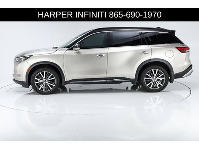 2023 INFINITI QX60 Autograph