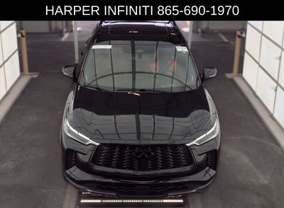 2023 INFINITI QX60 Autograph