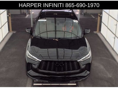 2023 INFINITI QX60 Autograph