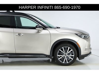 2023 INFINITI QX60 Autograph
