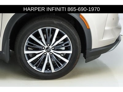 2023 INFINITI QX60 Autograph