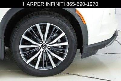 2023 INFINITI QX60 Autograph