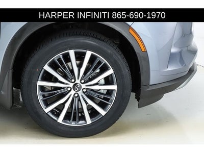 2023 INFINITI QX60 Autograph