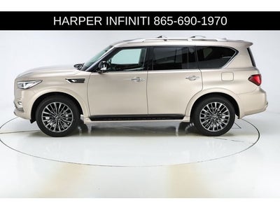 2024 INFINITI QX80 Premium Select