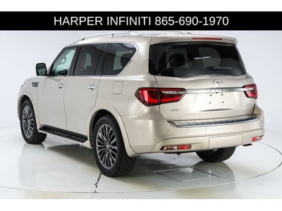2024 INFINITI QX80 Premium Select