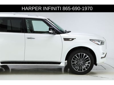 2024 INFINITI QX80 Premium Select