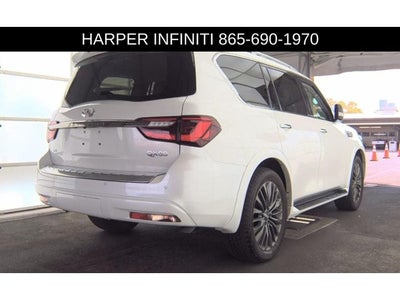 2024 INFINITI QX80 Premium Select