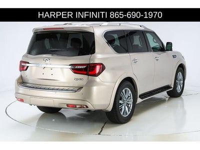 2023 INFINITI QX80 LUXE