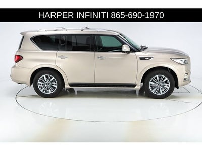 2023 INFINITI QX80 LUXE