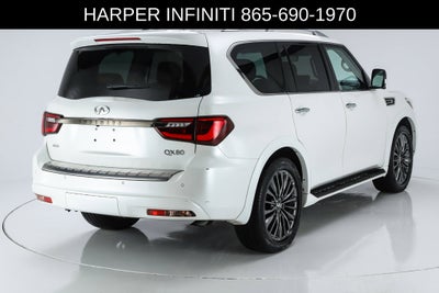 2023 INFINITI QX80 Premium Select