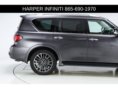 2023 INFINITI QX80 Premium Select