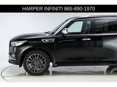 2023 INFINITI QX80 Sensory