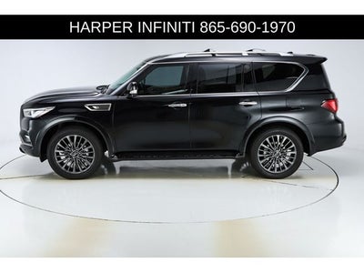 2024 INFINITI QX80 Sensory