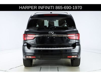 2024 INFINITI QX80 Sensory