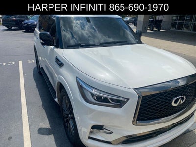 2024 INFINITI QX80 Sensory
