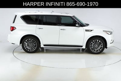 2024 INFINITI QX80 Sensory