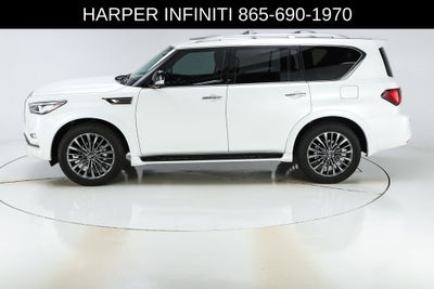 2024 INFINITI QX80 Sensory