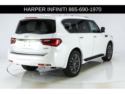 2024 INFINITI QX80 Sensory