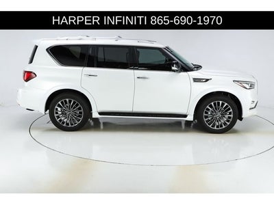 2024 INFINITI QX80 Sensory