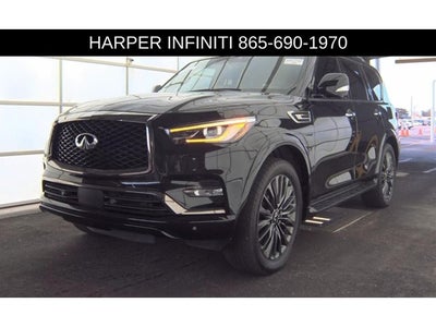 2024 INFINITI QX80 Sensory
