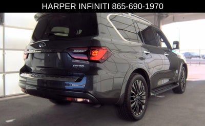 2024 INFINITI QX80 Sensory