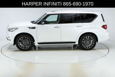 2024 INFINITI QX80 Sensory