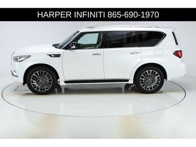 2024 INFINITI QX80 Sensory
