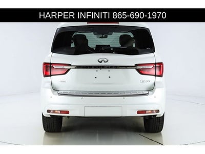 2024 INFINITI QX80 Sensory