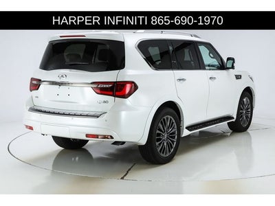2024 INFINITI QX80 Sensory