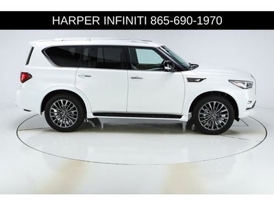 2024 INFINITI QX80 Sensory