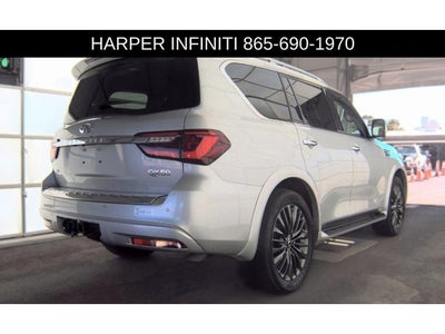 2023 INFINITI QX80 Sensory