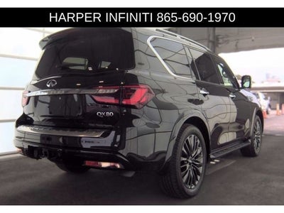 2024 INFINITI QX80 Sensory