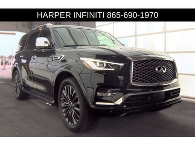 2024 INFINITI QX80 Sensory