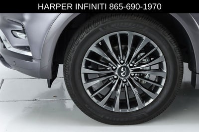 2023 INFINITI QX80 Sensory