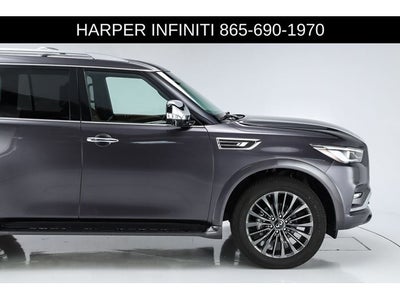 2023 INFINITI QX80 Sensory