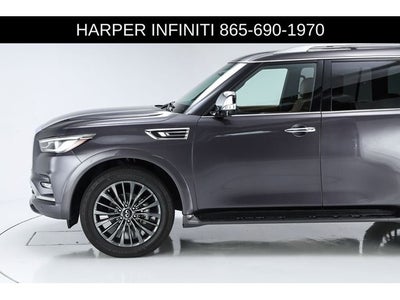 2023 INFINITI QX80 Sensory