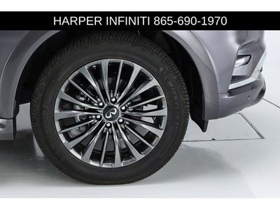 2023 INFINITI QX80 Sensory