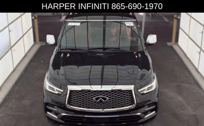 2023 INFINITI QX80 Sensory
