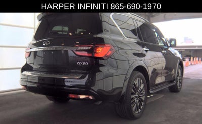 2023 INFINITI QX80 Sensory