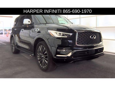 2023 INFINITI QX80 Sensory
