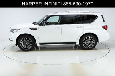 2024 INFINITI QX80 Sensory