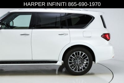 2024 INFINITI QX80 Sensory