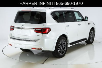 2024 INFINITI QX80 Sensory